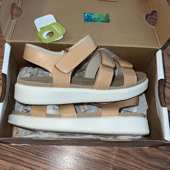 Ort Rex - Picture 1 of 3